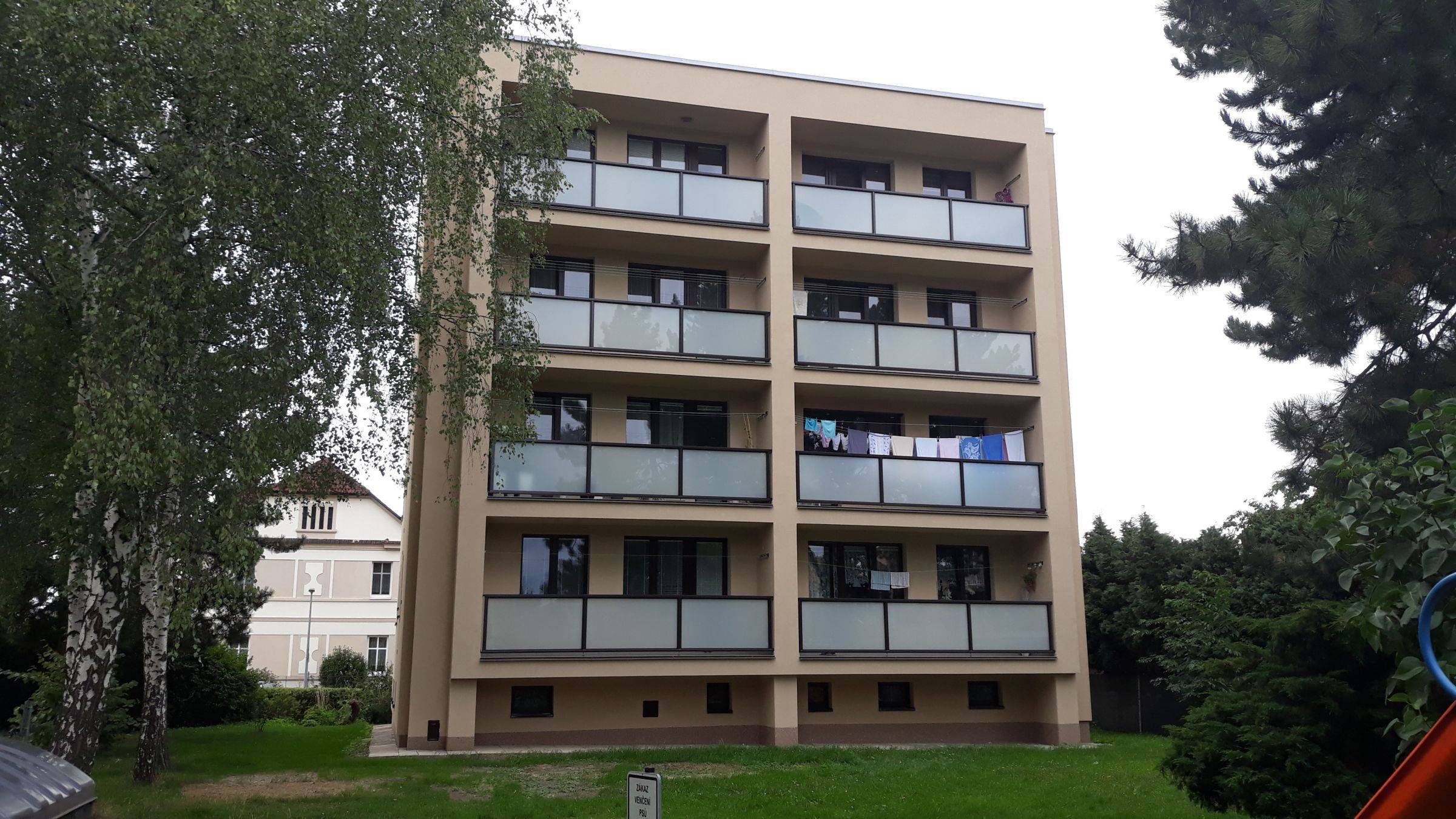 20190819_160812.jpg